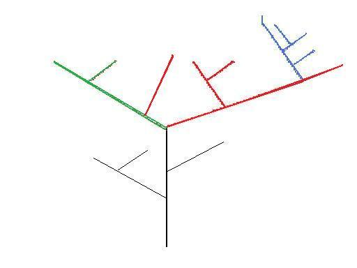 Figure 3 – Theoretical phylogenetic tree – colours represent genera